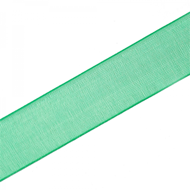 Стрічка з органзи 20 мм зелена